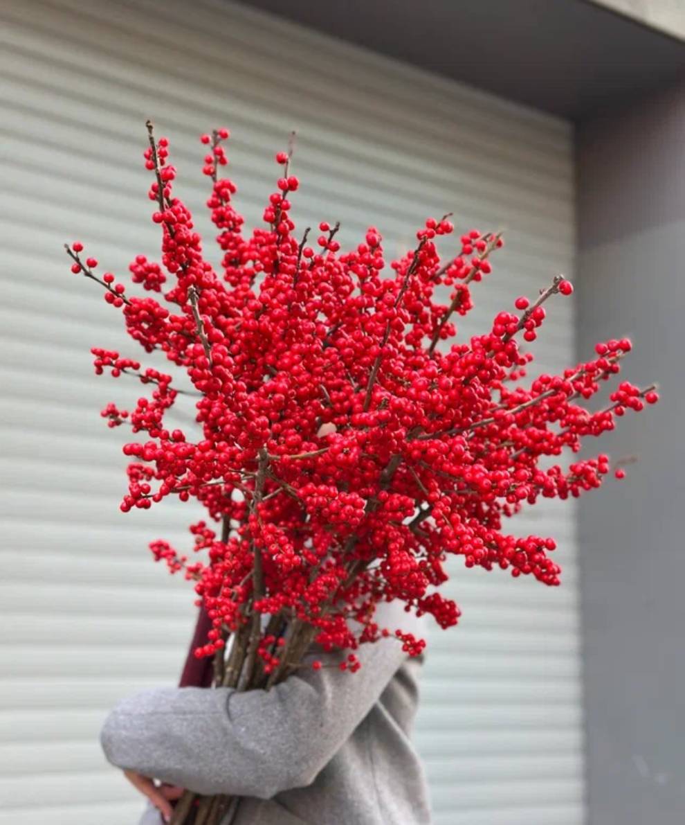 Моно букет из ягод Илекса