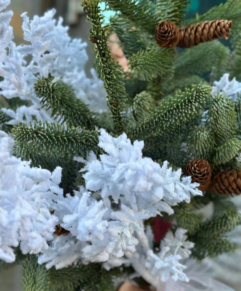 Зимний  дуо букет "Заснеженное утро"